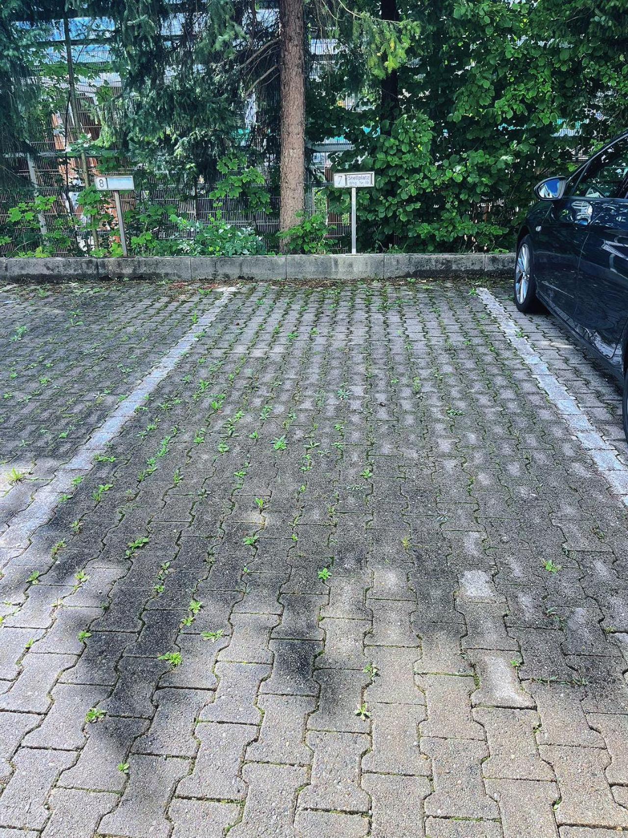 Grosszuegige Wohnung, Bergblick, Vintage Sonthofen Kültér fotó
